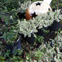 Southern Horticulture Flower Shop - 