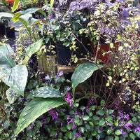 Southern Horticulture Flower Shop - 