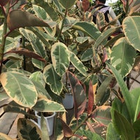 国華園 二色の浜店 貝塚市 大阪府