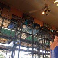 Zeus Place Freret New Orleans La