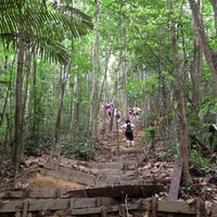 Bukit Gasing (Gasing Hill) - 87 tips