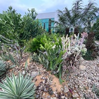 Photo taken at Cactus Garden by Michael J. on 4/12/2023