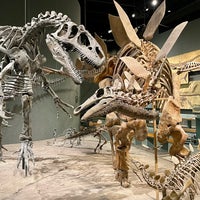 รูปภาพถ่ายที่ Denver Museum of Nature and Science โดย Christina เมื่อ 9/7/2023