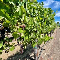 Das Foto wurde bei St. Francis Winery &amp;amp; Vineyards von Christina am 8/6/2022 aufgenommen