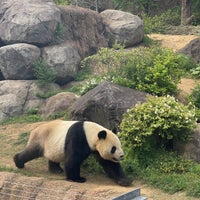 Photo taken at Ueno Zoo by SHINN on 4/20/2024