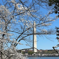 Photo taken at Cherry Blossoms by Karen on 3/25/2024