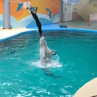 Photo taken at Dolphinarium by Mustafa A. on 11/13/2019