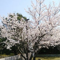 金沢工業大学 やつかほリサーチキャンパス Universidade 金沢工業大学 やつかほリサーチキャンパス Universidade