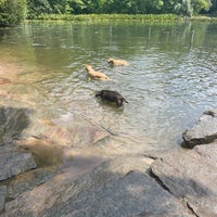 Photo taken at Prospect Park Dog Beach by Devin S. on 7/15/2023