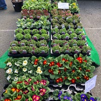 Photo taken at Earl&amp;#39;s Court Farmers&amp;#39; Market by Andrew B. on 2/21/2021