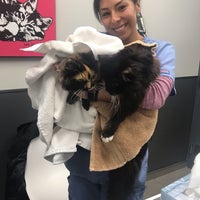 Photo taken at Blum Animal Hospital by Lee S on 12/1/2018