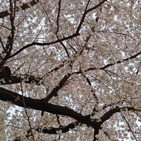 Photo taken at 恵比寿南二公園 by kitblake on 4/3/2023