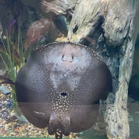 Photo taken at Sochi Discovery World Aquarium by Екатерина Н. on 10/10/2020
