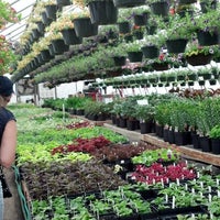 Martin S Greenhouse 1 Tip