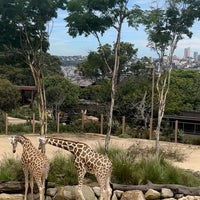 Foto tirada no(a) Taronga Zoo por arapan em 2/27/2024