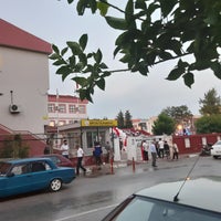 seda öğretir kaç yaşında