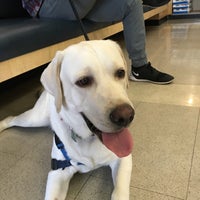 vca miller robertson