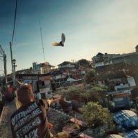 Review Bebek Goreng Chichi