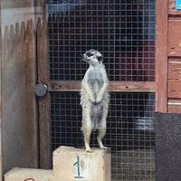 Photo taken at Зоопарк by Notya on 7/30/2019