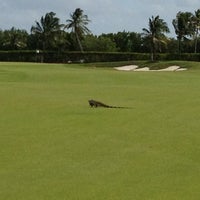 1/12/2013にMichelle B.がThe Ritz-Carlton Golf Club, Grand Caymanで撮った写真