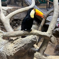 Photo taken at Kansas City Zoo by Richard on 4/14/2024
