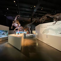 Photo taken at Morian Hall of Paleontology at HMNS by Serena S. on 12/14/2019