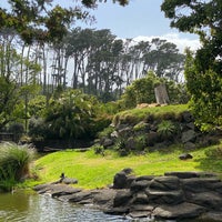 1/6/2020 tarihinde Tengisziyaretçi tarafından Auckland Zoo'de çekilen fotoğraf