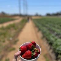 Foto tirada no(a) U-Pick Carlsbad Strawberry Co. por Tengis em 5/17/2022