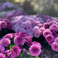 Photo taken at Red Butte Garden by Tengis on 10/2/2021