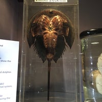 Photo taken at Hunterian Museum by Katia I. on 4/15/2015