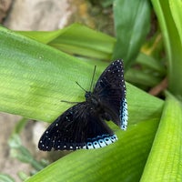 Photo taken at Butterfly Farm by Haziq A. on 6/6/2022