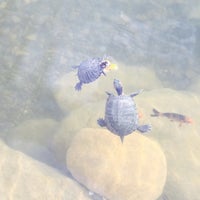 Das Foto wurde bei PodyumPark von Mustafa D. am 4/1/2015 aufgenommen