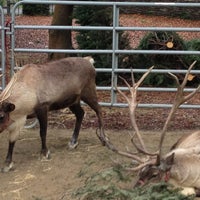 Photo taken at Reindeer by Oguz on 12/17/2012