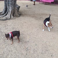 Photo taken at Grand Park- Dog Run by Danette D. on 12/11/2016