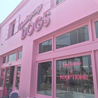 Photo taken at Vanderpump Dogs by Danette D. on 8/11/2018