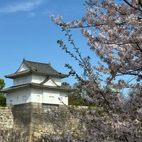 Photo taken at Osaka Castle Park by Alanood on 4/12/2024