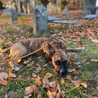 Photo taken at Sleepy Hollow Cemetery by Minji K. on 11/8/2020