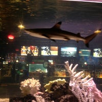 รูปภาพถ่ายที่ Shark Club โดย Leeann R. เมื่อ 4/4/2013