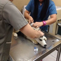 grand ave pet clinic