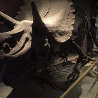 11/11/2017에 Can M.님이 Jurassic Land에서 찍은 사진