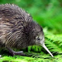 Photo taken at Wellington Zoo by Muhammed S. on 1/30/2016