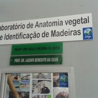 Photo taken at LAVIM - Laboratório De Anatomia Vegetal E Identificação De Madeira by Hilton A. on 1/20/2014