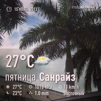 converse in sawgrass