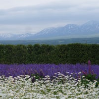 ススキノグリーンホテル2 Susukino Green Hotel 2 札幌市のホテル