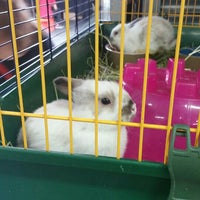 up market pets