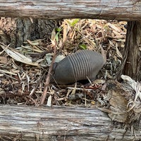 Photo taken at Fort Worth Zoo by Zack K. on 5/27/2022