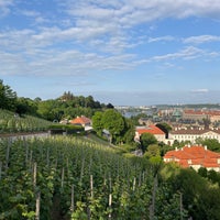 Foto tomada en Svatováclavská vinice  por Taras H. el 6/2/2023