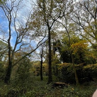 Photo taken at Dulwich Wood by James G. on 11/8/2020
