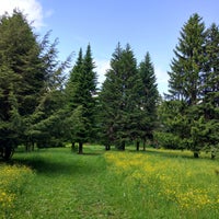 Photo taken at Ботанический сад by Alexander L. on 6/15/2017