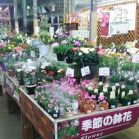 島忠 中野店 中野区 中野2 10 11